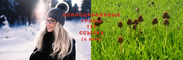 твердый Нефтекумск