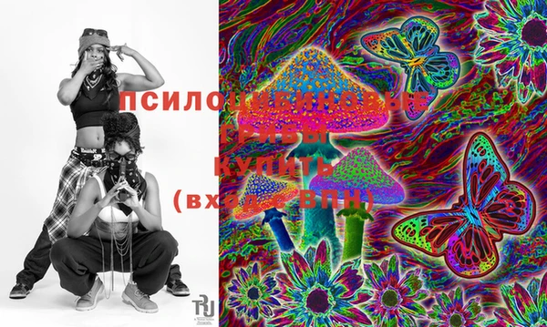 бошки Нея